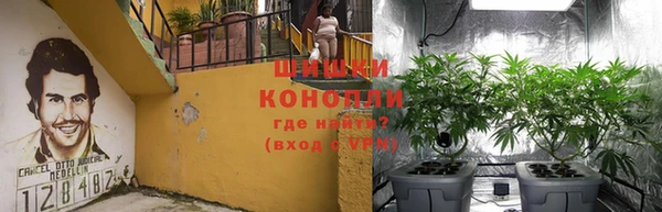 spice Абинск
