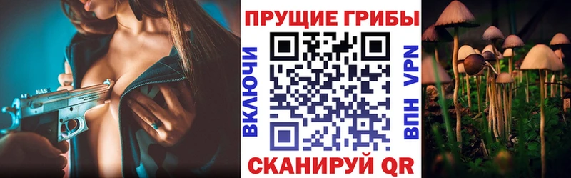 Псилоцибиновые грибы прущие грибы где продают Сертолово